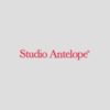 Studio Antelope